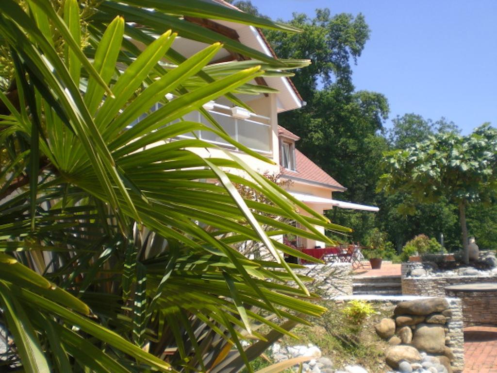 Chambres D'Hotes Coteaux Sud Jurancon Exterior photo